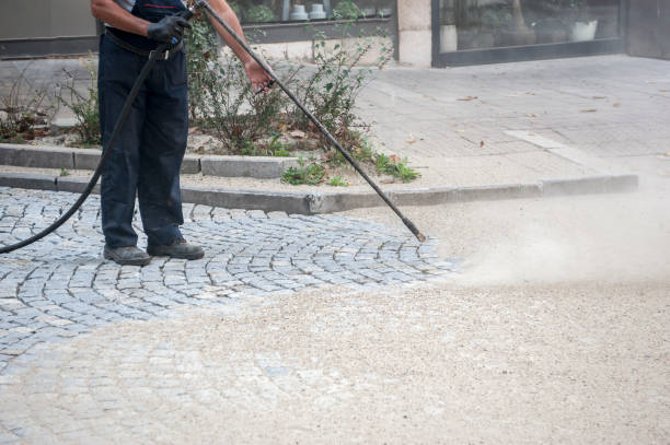 Best Dumpster Area Cleaning  in Waseca, MN